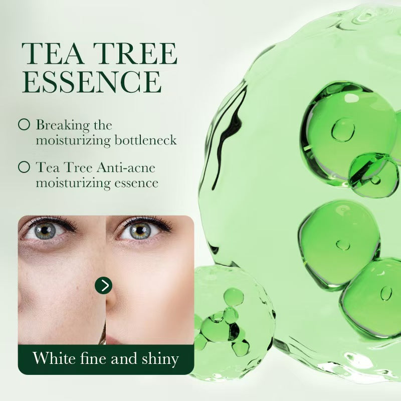 Tea tree acne oil control cream acne scars facial anti acne moisturizing